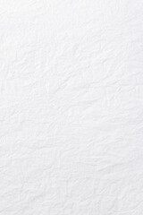 白い和紙のテクスチャー　White washi texture