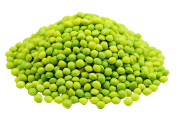 green mung beans on transparent background