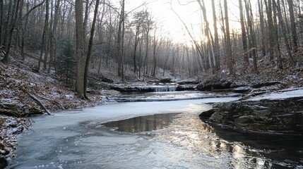 Mountain stream leading to frozen cascades, thick forest covered in frost, pale winter sun casting a cold glow