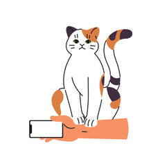 Fototapeta premium Cute cat disturbs the owner, sits on hand with phone. Funny kitten annoys, asks attention. Happy pet seeking love. Amusing domestic animal. Flat isolated vector illustration on white background