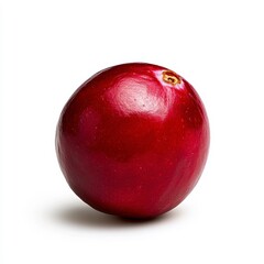 Obraz premium Single Ripe Cranberry on White Background