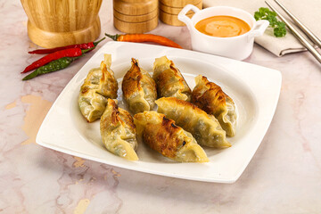 Japanese fried Gyoza stuffed dumplings