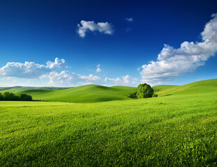 Obraz premium Generated image 5月の青空