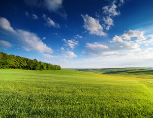 Obraz premium Generated image 5月の青空