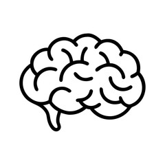brain