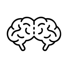 brain