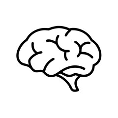 brain