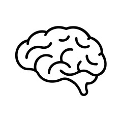 brain