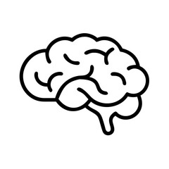 brain