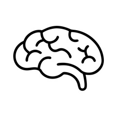 brain
