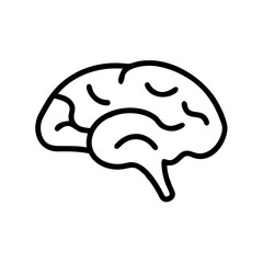 brain