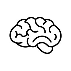 brain