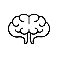 brain