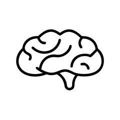 brain