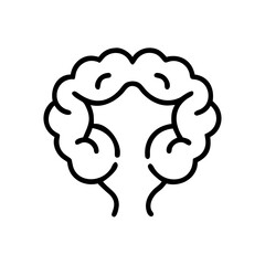 brain