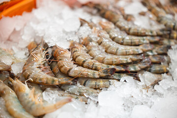 Fresh seafood display at a bustling thailand fish market
