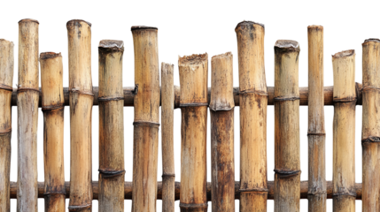 Bamboo fence cut out. Isolated on a transparent background.