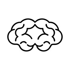 brain
