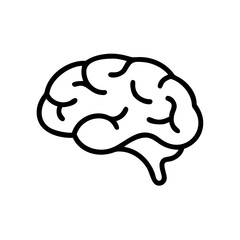 brain