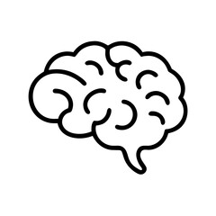 brain