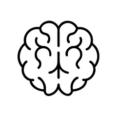 brain