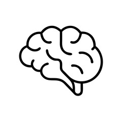 brain