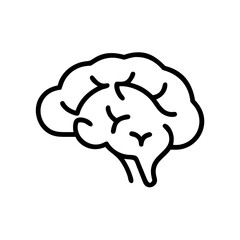 brain