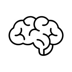 brain