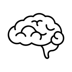 brain