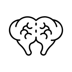 brain