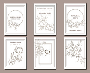 Cotton Plant Illustration. Cotton Branch Label Design. 100% Cotton, Pure Cotton Graphics. Hand Drawn Cotton Flowers  Line Art Illustration. Cotton Outline Trendy Minimalist Design