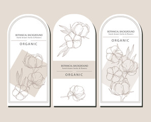 Cotton Plant Illustration. Cotton Branch Label Design. 100% Cotton, Pure Cotton Graphics. Hand Drawn Cotton Flowers  Line Art Illustration. Cotton Outline Trendy Minimalist Design
