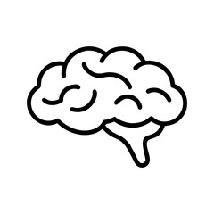 brain