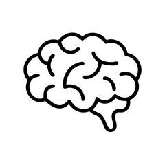 brain