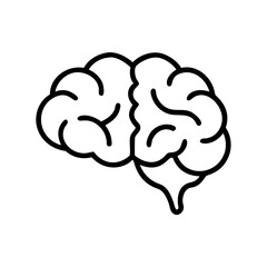 brain