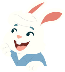 Happy Cartoon Rabbit Character