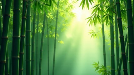 Fototapeta premium Serene Bamboo Forest Sunlight Filtering Through Lush Green Canopies, Creating a Tranquil and Peaceful Atmosphere