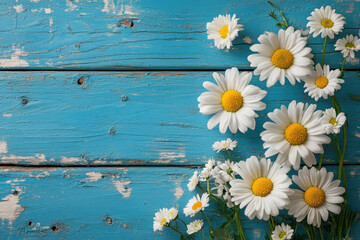 Fototapeta premium A white daisy in full bloom under the bright sun, surrounded by lush green grass in a serene garden setting.