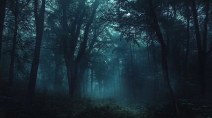 Fototapeta premium Mysterious Dark Forest at Twilight: Enigmatic Landscape of Nature's Beauty