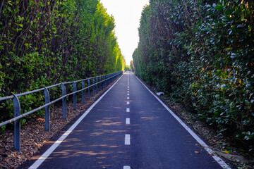 Cycle path along the road from Lecco to Milan at Carate Brianza, Italy