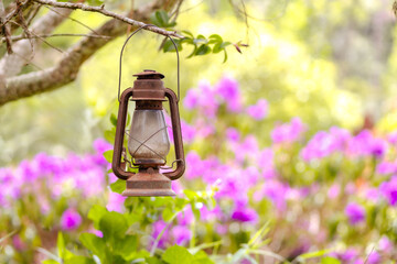 Rustic Vintage Lantern hanging from a tree branch, surrounded by a beautiful, blurred natural background. Image with a cozy, tranquil, and retro vibe.