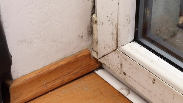 Mold on window frames and walls. Damp and moisture damage in a home interior.