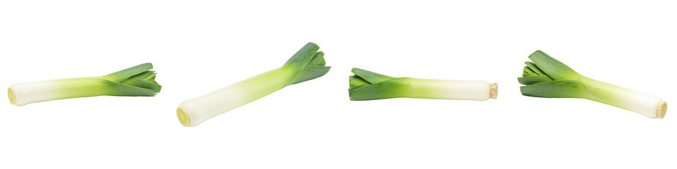 Single Leek or Welsh Onion on White, Cut Out Set