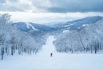 a person skiing in the mountains of Niseko, Japan