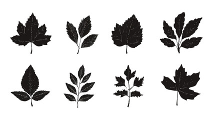 Fototapeta premium Black different tree leaves isolated on white background. Silhouette different types of leaves by vector design.
