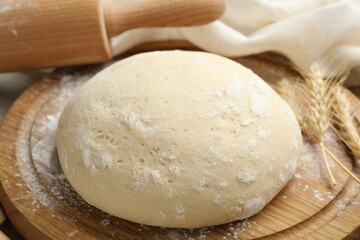 Rolling pin, dough and spikes on table, closeup