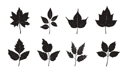 Obraz premium A collection black silhouettes of different types of leaves. Black different tree leaves isolated on white background. 