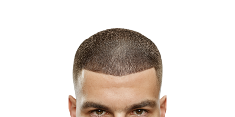 Close-up of man's neat buzz cut hairstyle, isolated on transparent background