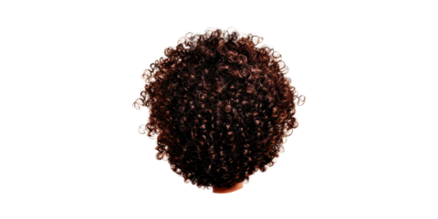 Curly hair wig with rich texture viewed from back isolated on transparent background