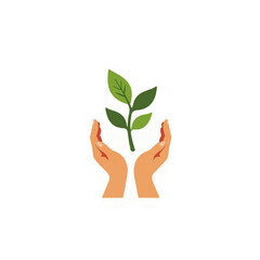 Hands nurturing green plant in minimalistic design, growth concept